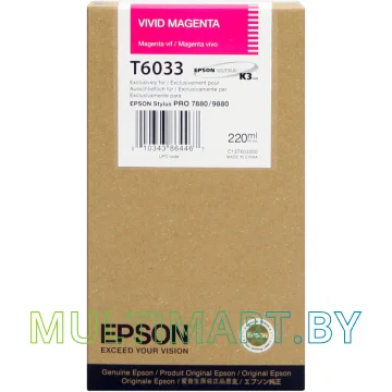 Картридж Epson C13T603300